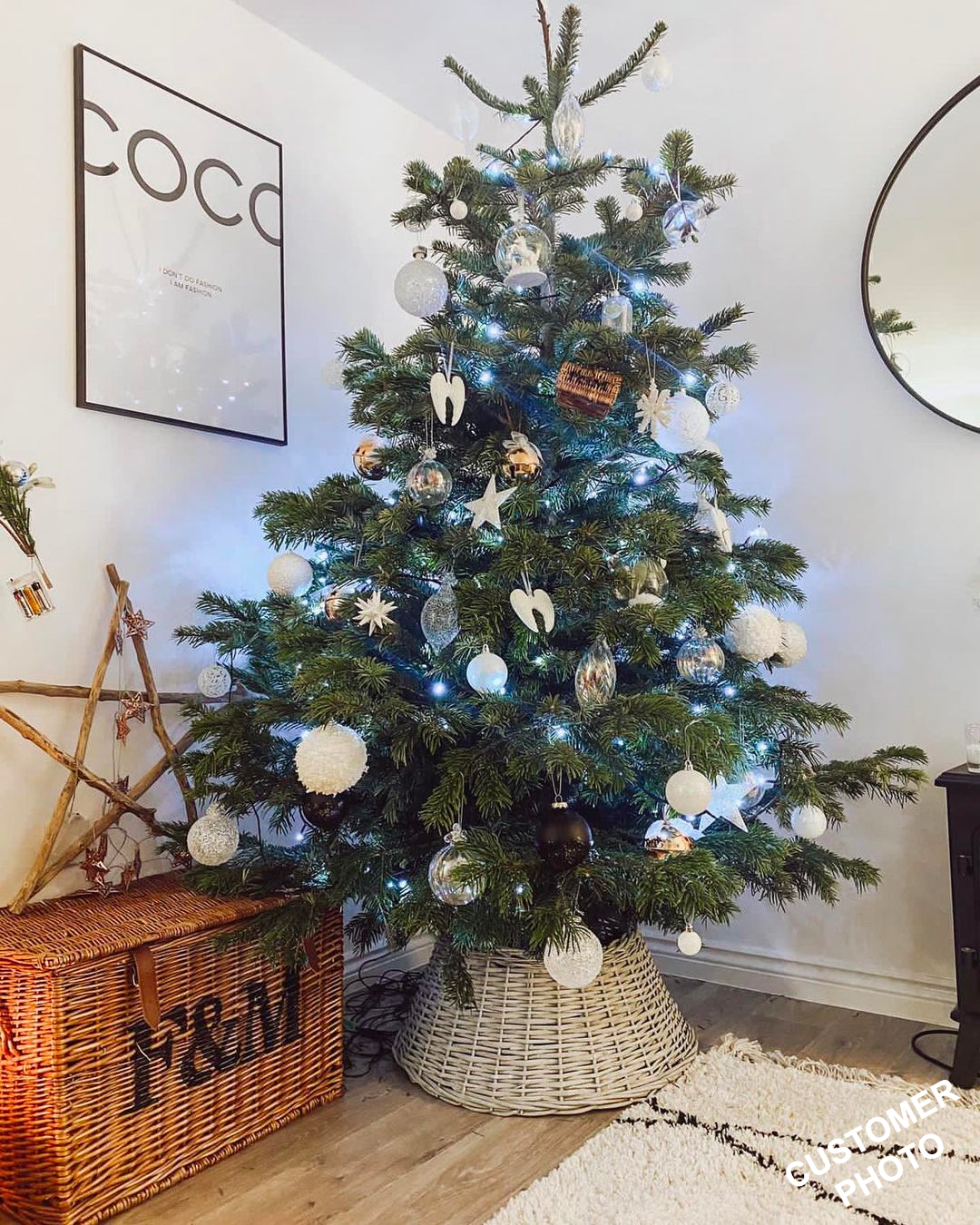 Nordmann Fir
