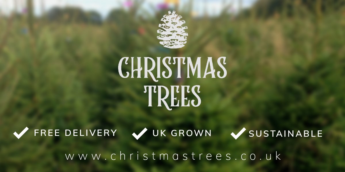 Real Christmas Tree Delivery London & Nationwide UK