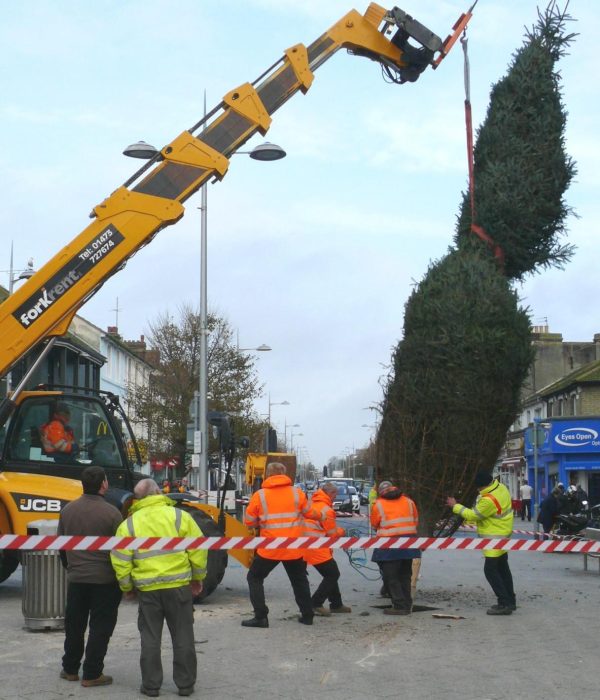 large christmas tree installation